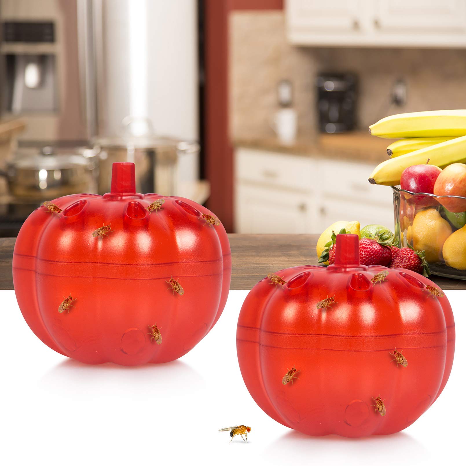 2 Pack Fruit Fly Traps Indoor - Reusable & Safe Gnat Killer for Kitchen, Dining Room | Effective Pest Control for Home, Office, Restaurant Use