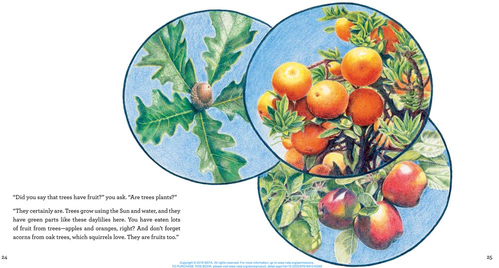 From Flower to Fruit: Premium Organic Fruit Gift Box - Perfect for Holidays, Birthdays & Corporate Gifting