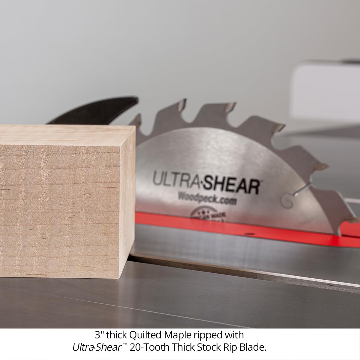 10 Inch Thick Stock Table Saw Rip Blade - 20T, 5/8