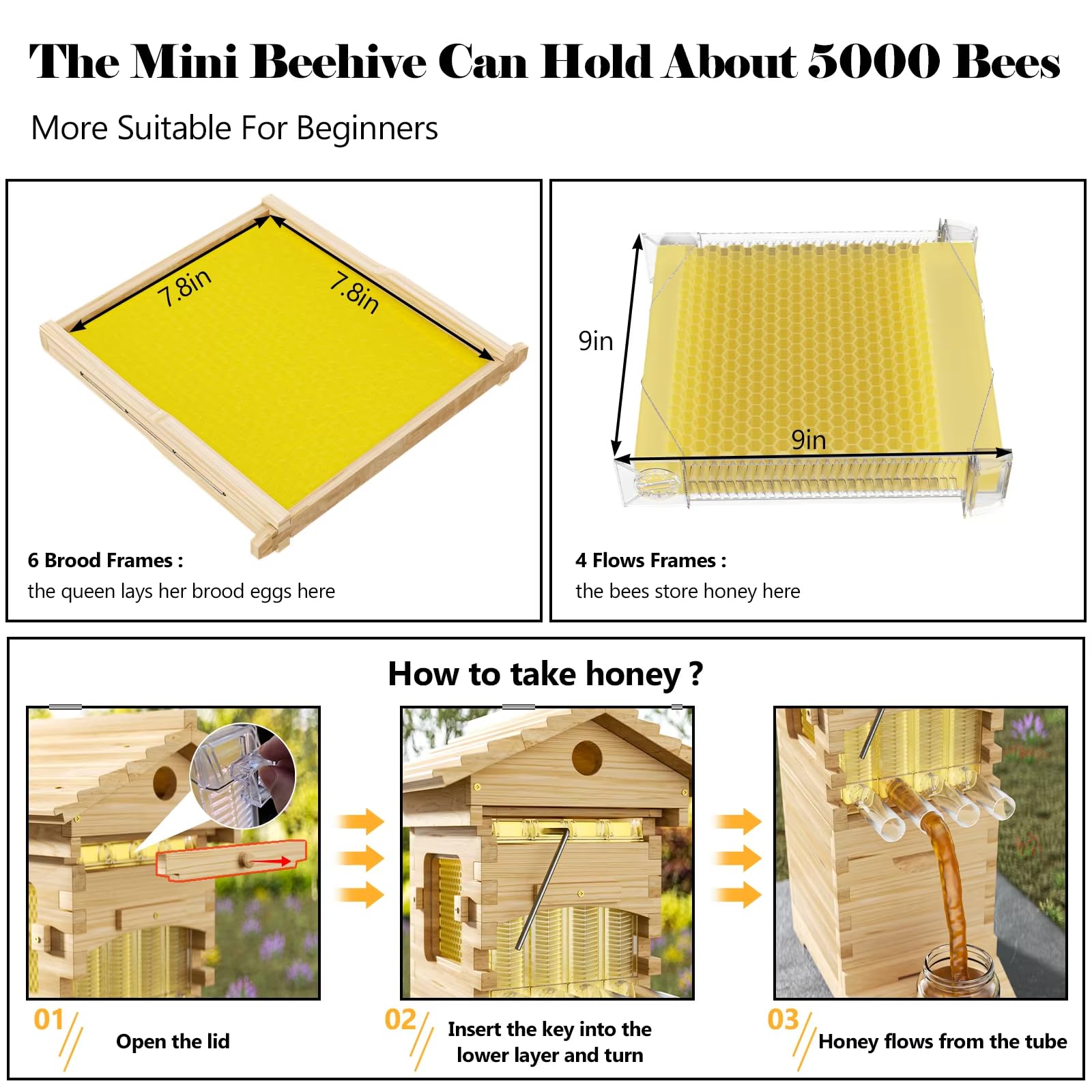 4Pcs Honey Bee Hive Starter Kit with Frames - For Beekeeping Beginners