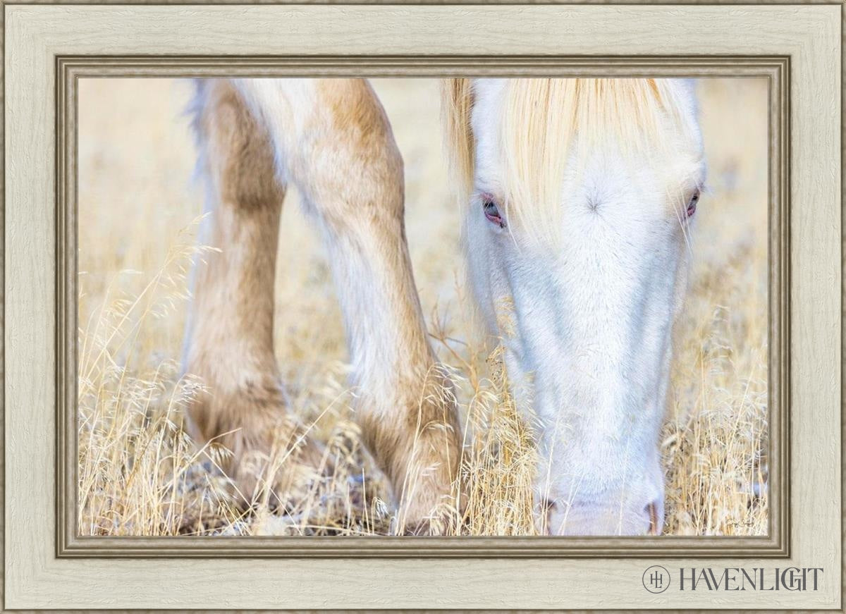 Dry Grass by Greg Sargent - Premium Handcrafted Home Decor for Rustic & Farmhouse Style - Perfect for Wall Art, Shelf Displays & Cozy Living Room Decor