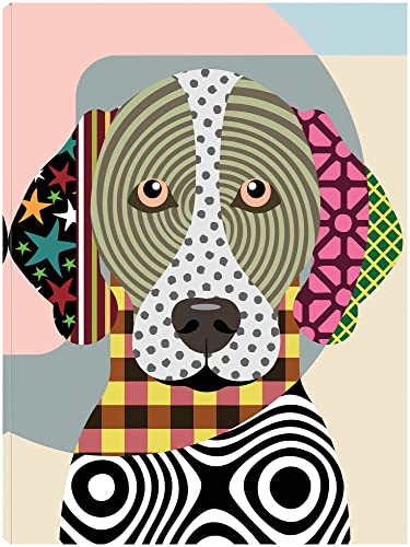 German Shorthaired Pointer