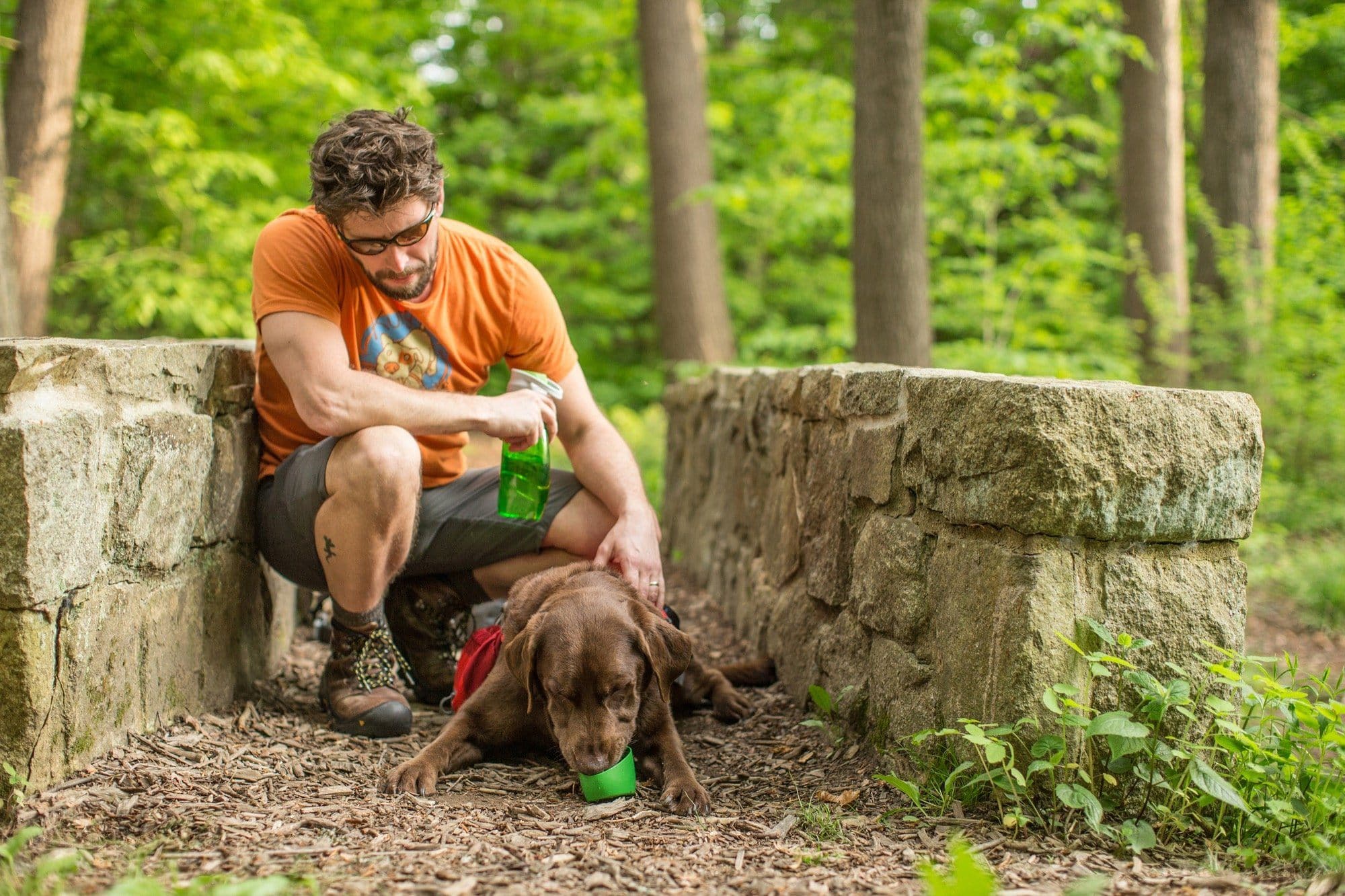 Kurgo Portable Dog Water Bottle with Bowl - Insulated Stainless Steel Thermos for Dogs - Leak Proof & Travel Friendly - Perfect for Hiking, Camping, and Outdoor Adventures with Your Pet