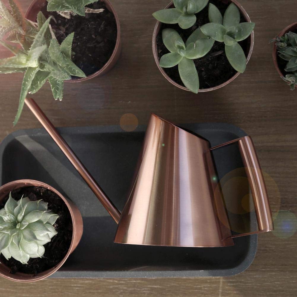 Stainless Steel Watering Can for Indoor Plants - Long Narrow Spout Bonsai Flower Pot for Home, Garden, Patio & Yard | Perfect for Delicate Watering of Houseplants, Succulents & Small Gardens