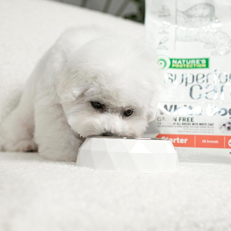 Premium Puppy Food for Light Coat Dogs (Up to 4 Months) - Salmon Recipe for All Breeds - Ideal for Growing Puppies & Coat Maintenance
