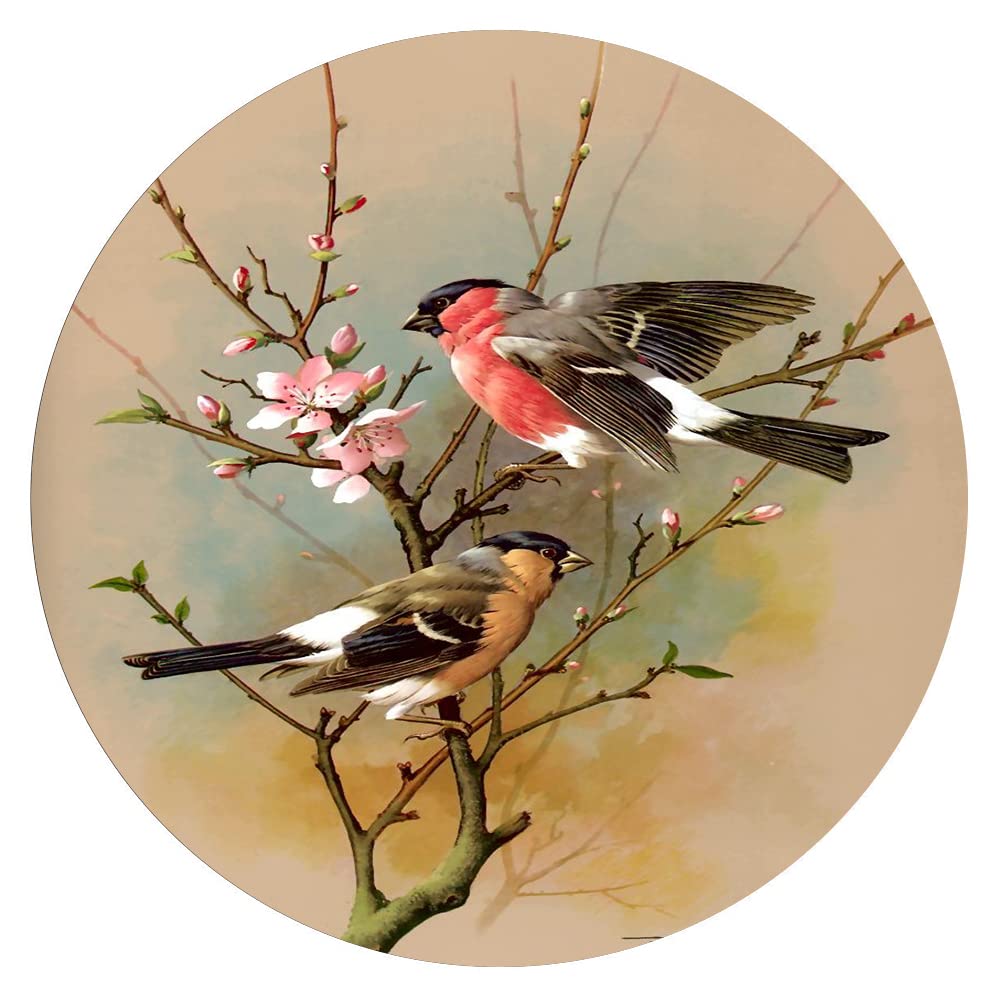 300-Piece Animal & Birds Wall Art Puzzle - Round Wooden Jigsaw for Adults & Kids - Stress Relief, Educational Toy, Parent-Child Bonding Game - Perfect for Home Decor, Classroom Learning & Family Game Night