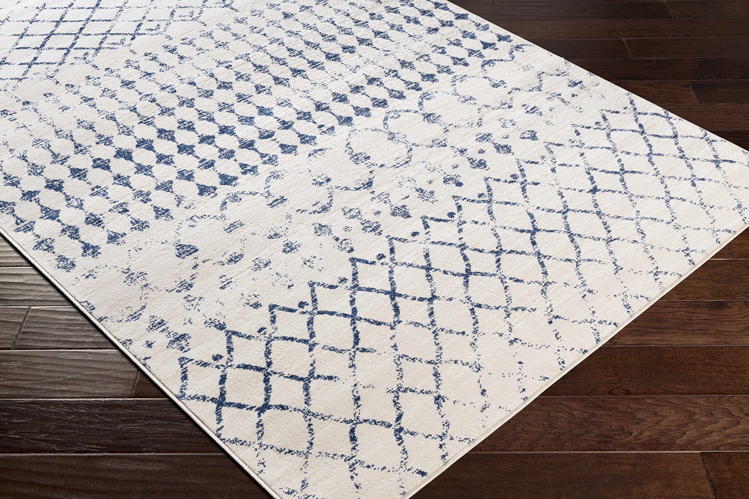Modern Hauteloom Banjup Area Rug - Blue & White 5'3
