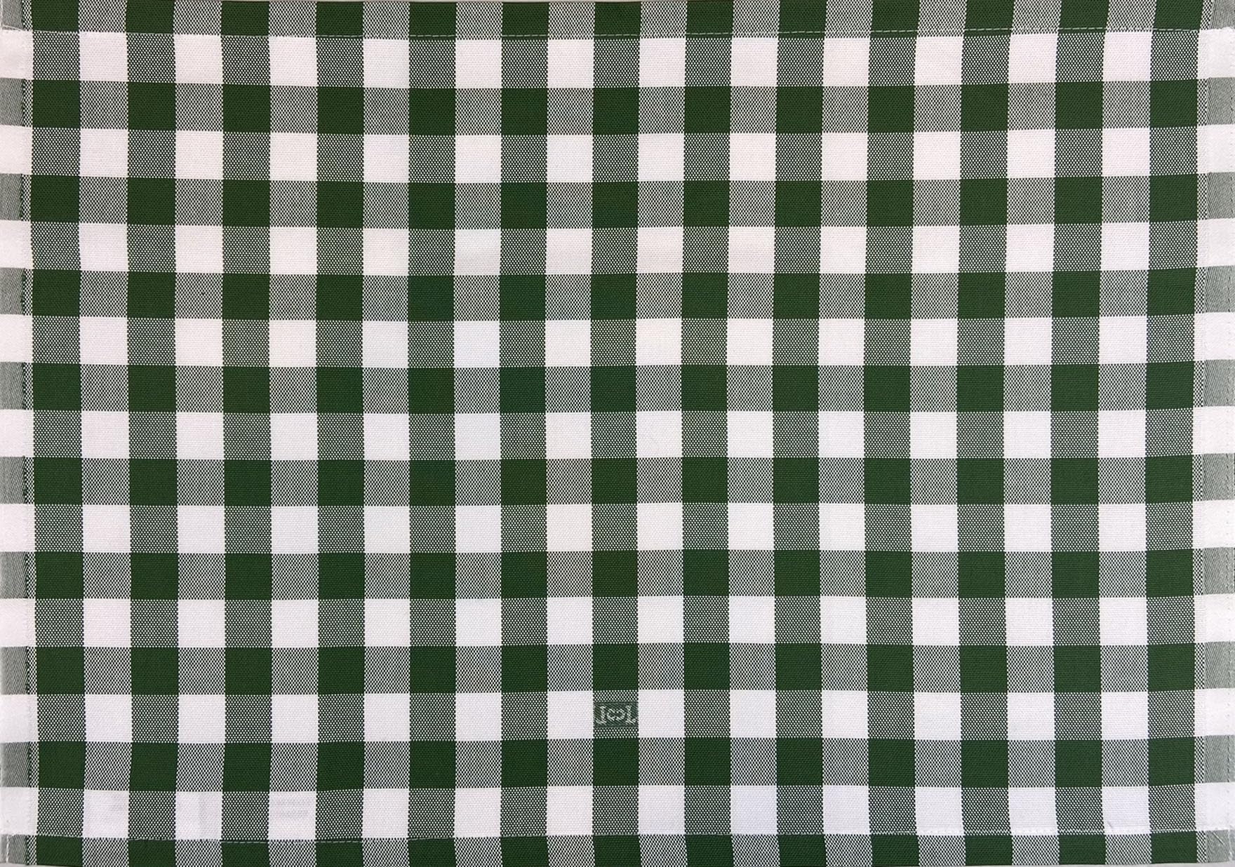 Premium Gingham Check Table Placemats Set of 4 - 100% Cotton Green Plaid Fabric Place Mats 20x14 Inches - Italian Design by Carlo Lamperti - Machine Washable - Minimalist Dining Table Decor for Kitchen, Restaurant & Home Entertaining