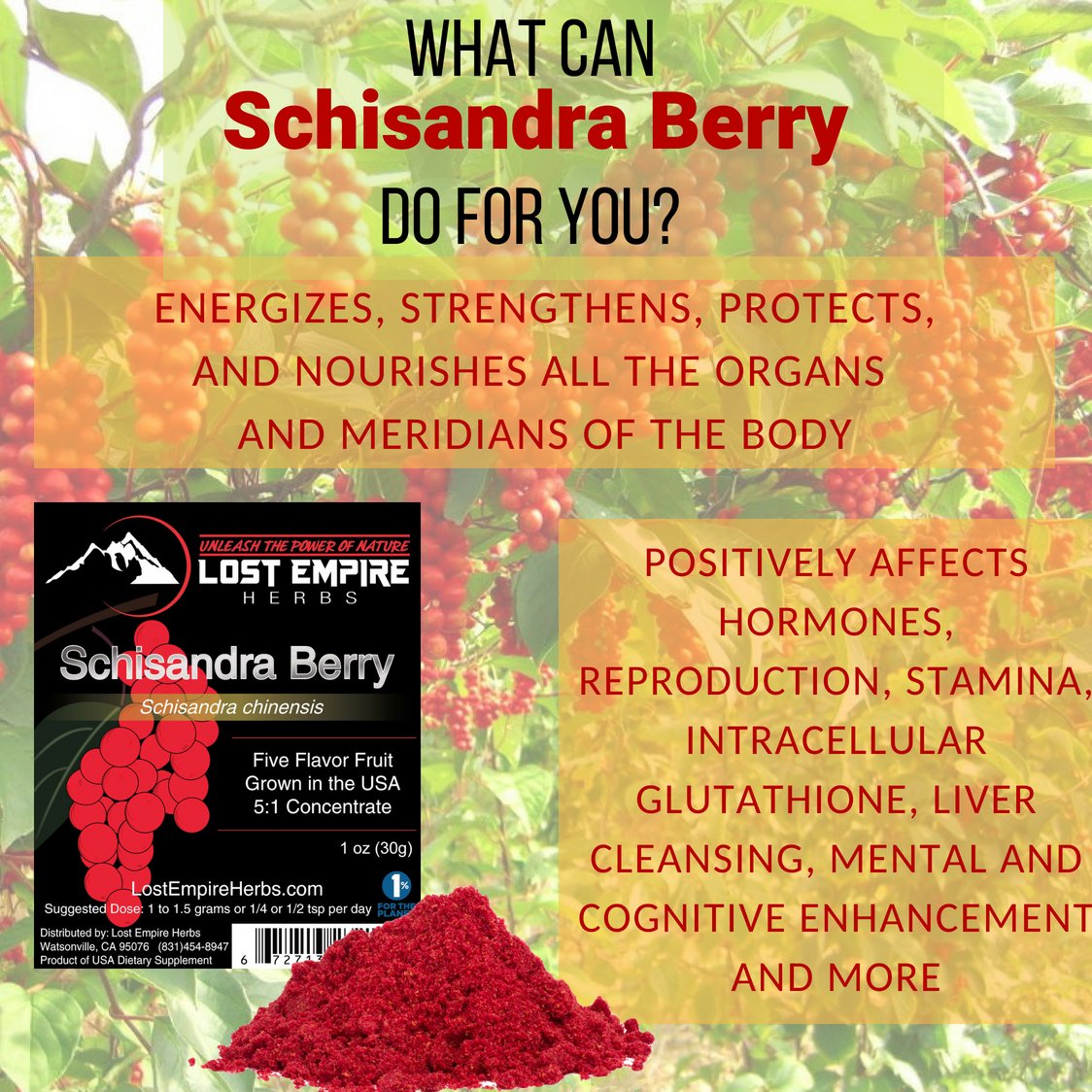 Organic Schisandra Berry Powder 5:1 Extract - Premium Adaptogenic Herb for Liver Detox, Brain Health & Stress Relief - Gluten Free, Paleo, Vegan, Keto Supplement (30g) - Perfect for Smoothies, Tea & Wellness Routines