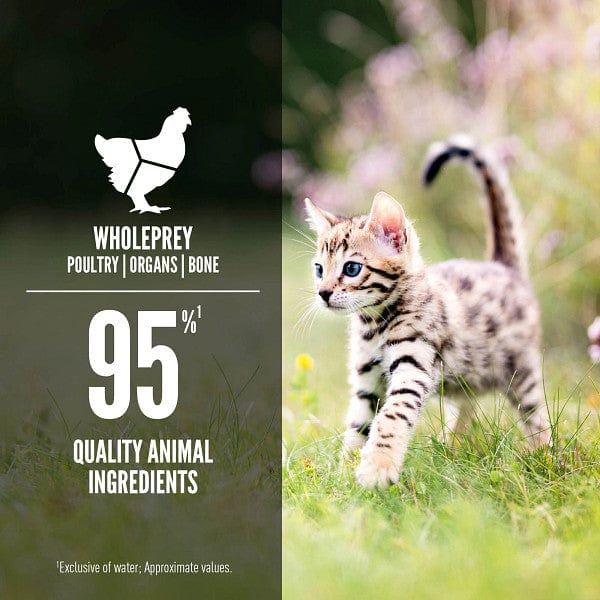 Orijen Chicken & Salmon Entrée Canned Kitten Food - High Protein Grain-Free Wet Cat Food for Kittens - Perfect for Growing Cats & Picky Eaters