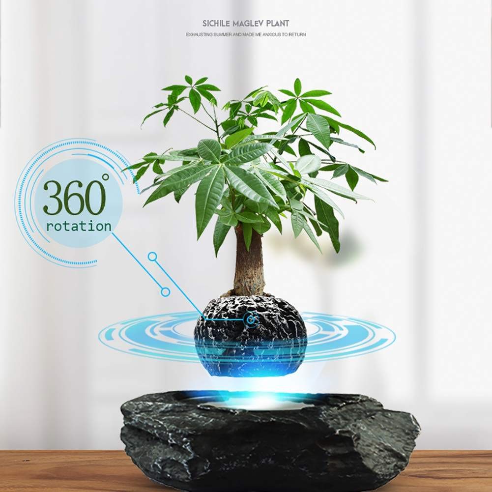 Magnetic Floating Flower Pot - Levitating Air Bonsai Planter with Creative Design for Home & Office Decor - Unique Gift Idea for Plant Lovers (Black) | Perfect for Modern Living Rooms, Office Desks, and Zen Spaces