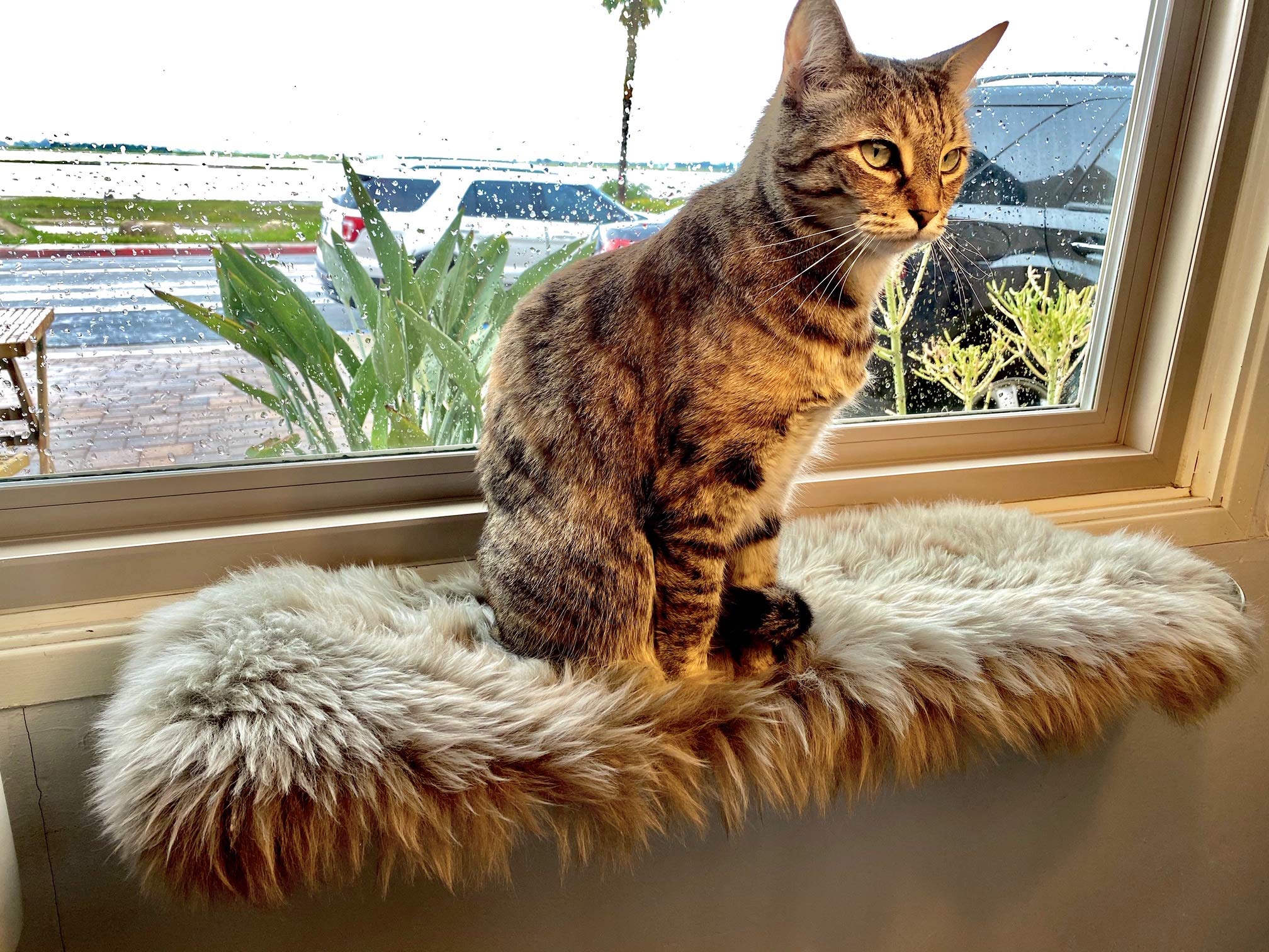 Premium Wall-Mounted Cat Perch & Window Shelf - Cozy Kitten Bed with Soft Natural Fur & Sheepskin Pad - USA Designed & Assembled Cat Furniture (Silver) - Perfect for Small Spaces, Apartments & Kitty Lounging