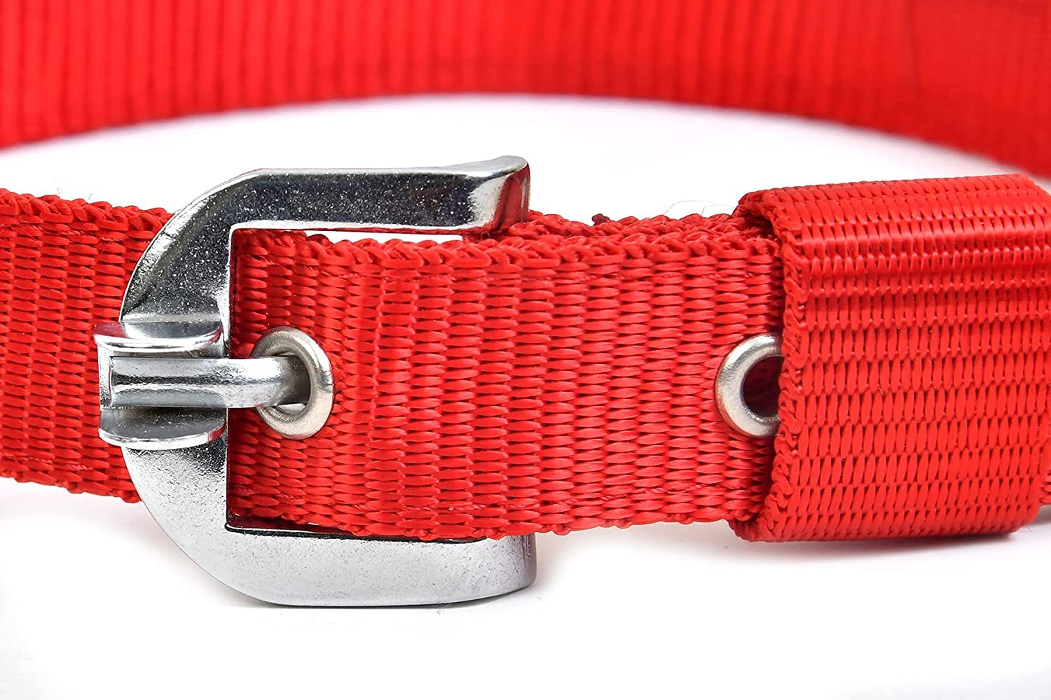 RvPaws Heavy Duty 1 Inch Nylon Dog Collar with 63 Inch Chain - Large Size Red Pet Accessories for Walking, Training & Outdoor Adventures