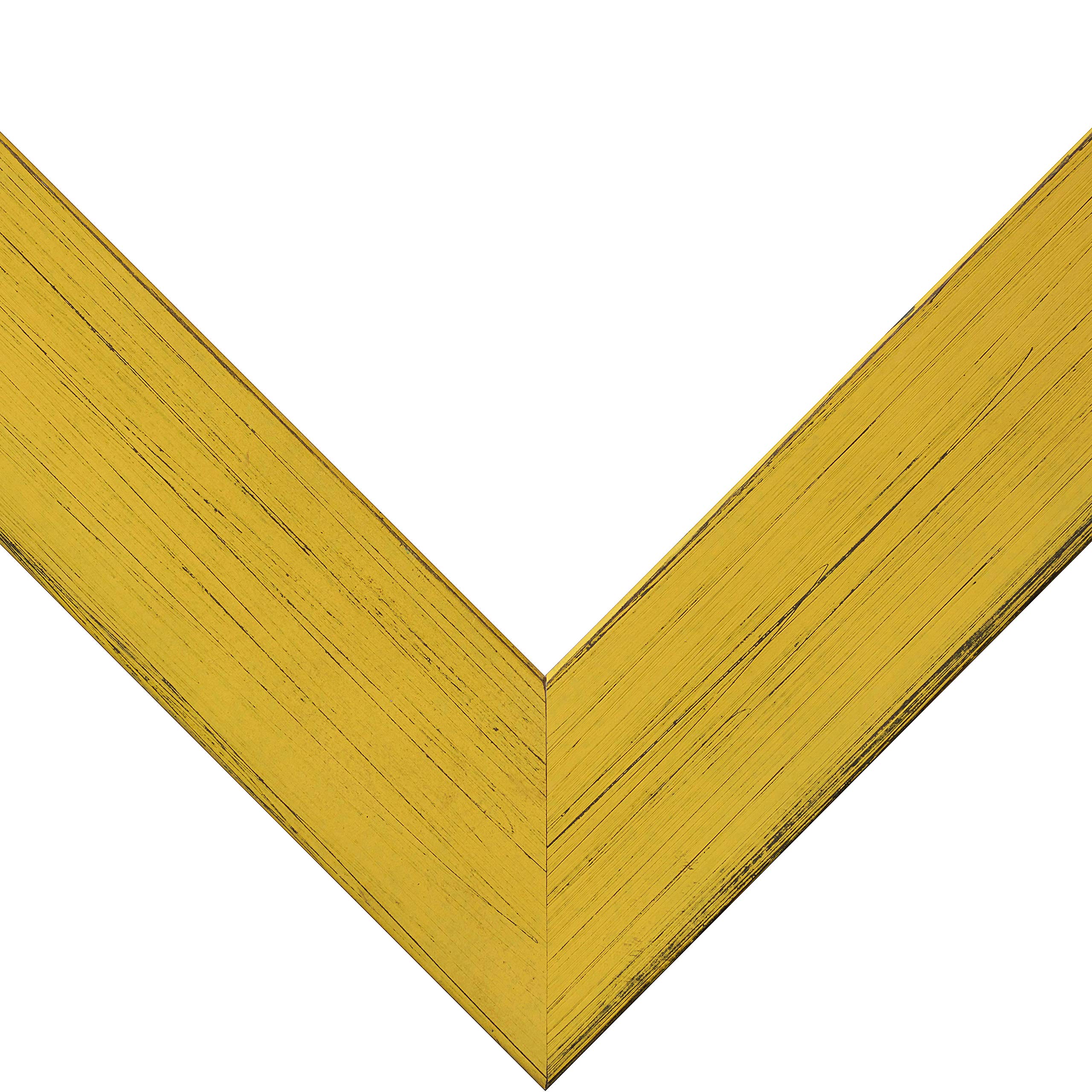 Craig Frames Jasper 24x33 Inch Picture Frame - Southern Yellow for Home Decor