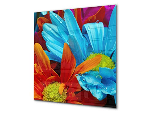 Colorful Flower