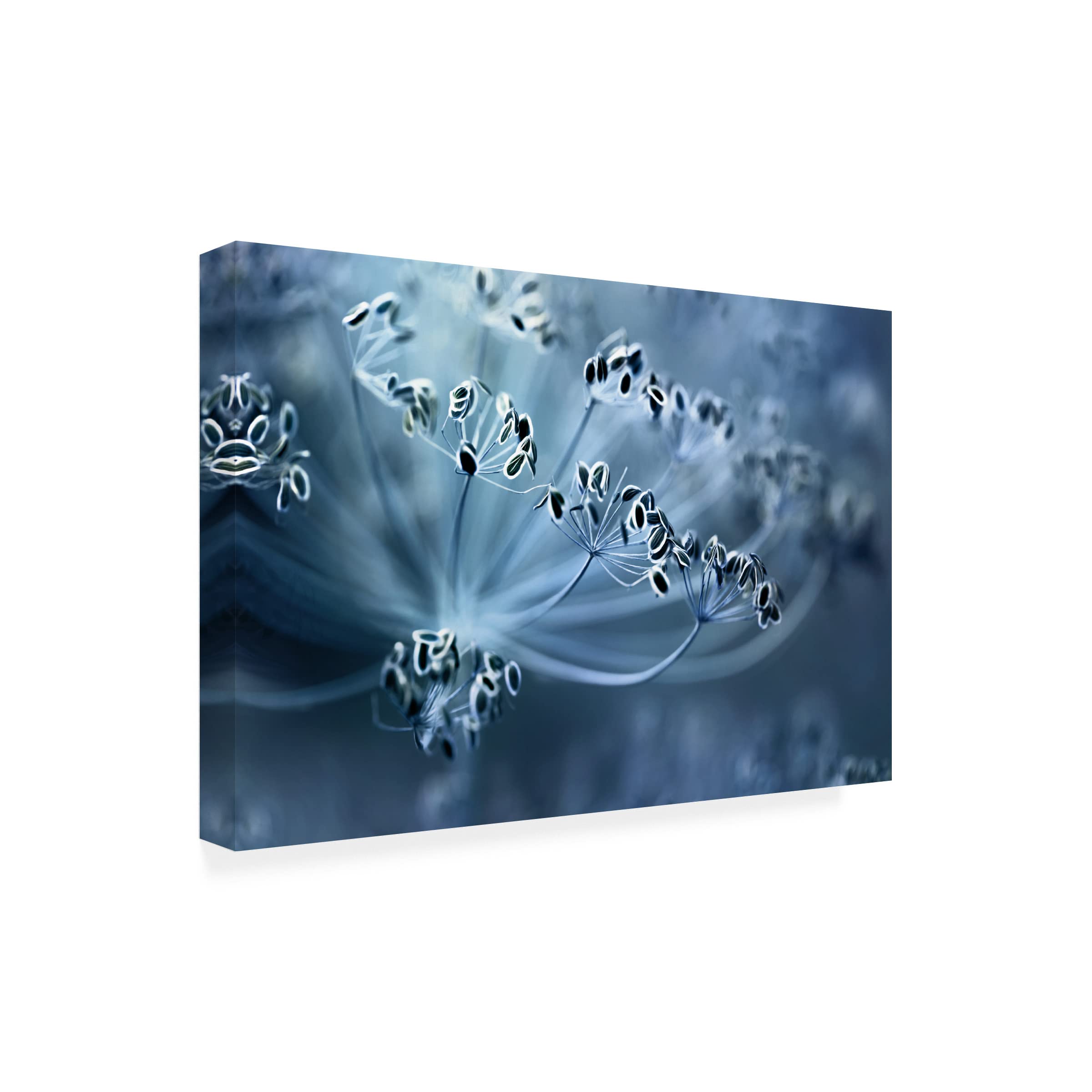 Trademark Fine Art 'Dill' Canvas Art Print by Mandy Disher - Modern Botanical Wall Decor for Living Room, Bedroom & Office