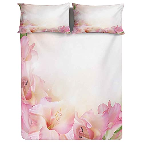 Sheet Set 14