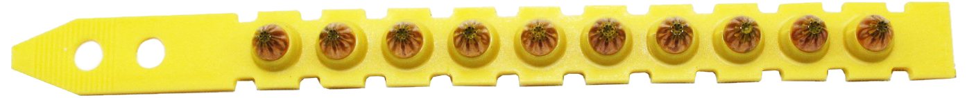Hilti 50352 0.27 Caliber Yellow Boosters - 100 Pack for Powder-Actuated Fastening Tools | Ideal for Construction, Concrete Anchoring & Steel Framing