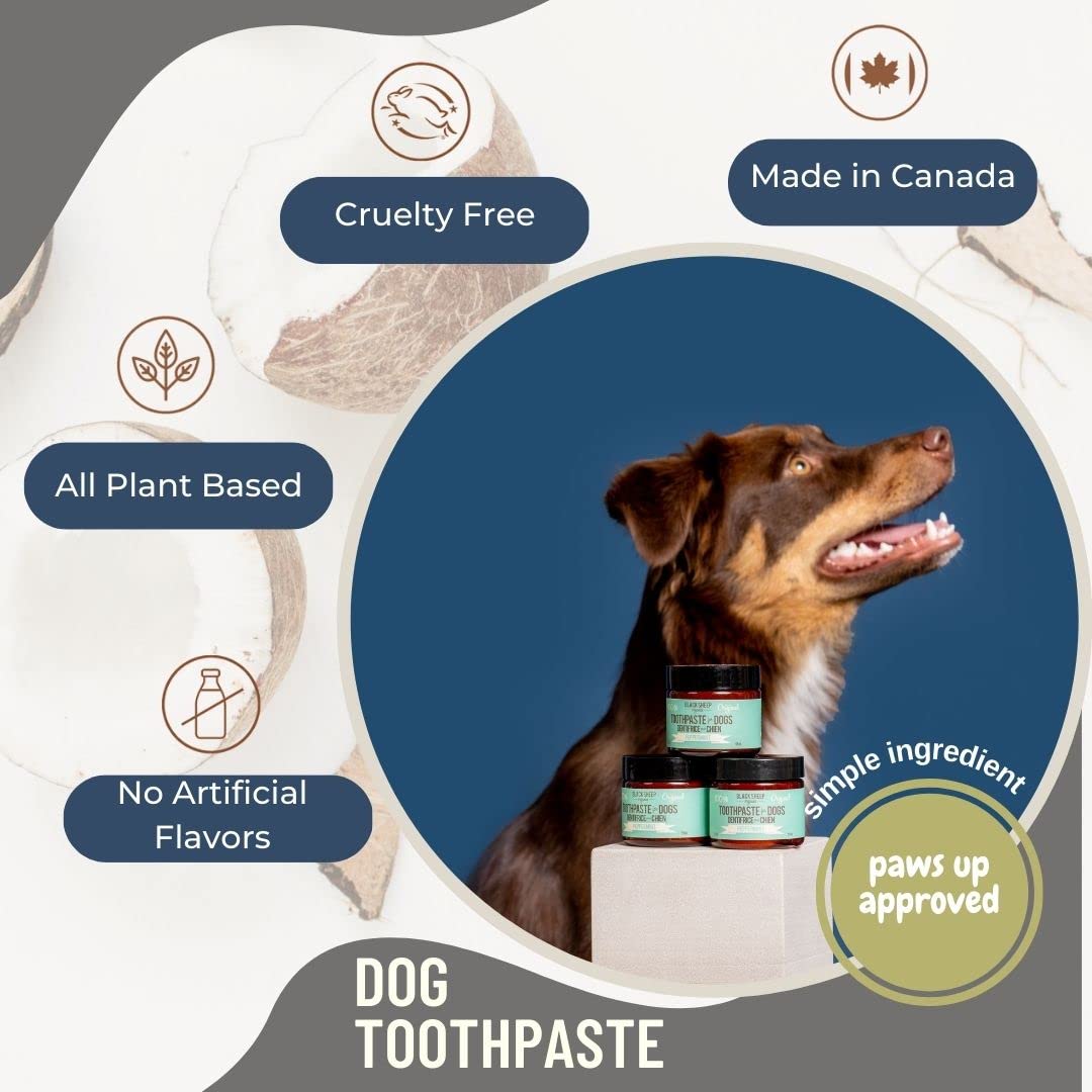 Natural Peppermint Dog Toothpaste with Coconut Oil - Human-Grade Formula for Fresh Breath, Plaque & Tartar Control - Safe Dental Care for Dogs - Perfect for Daily Teeth Cleaning & Oral Hygiene Maintenance