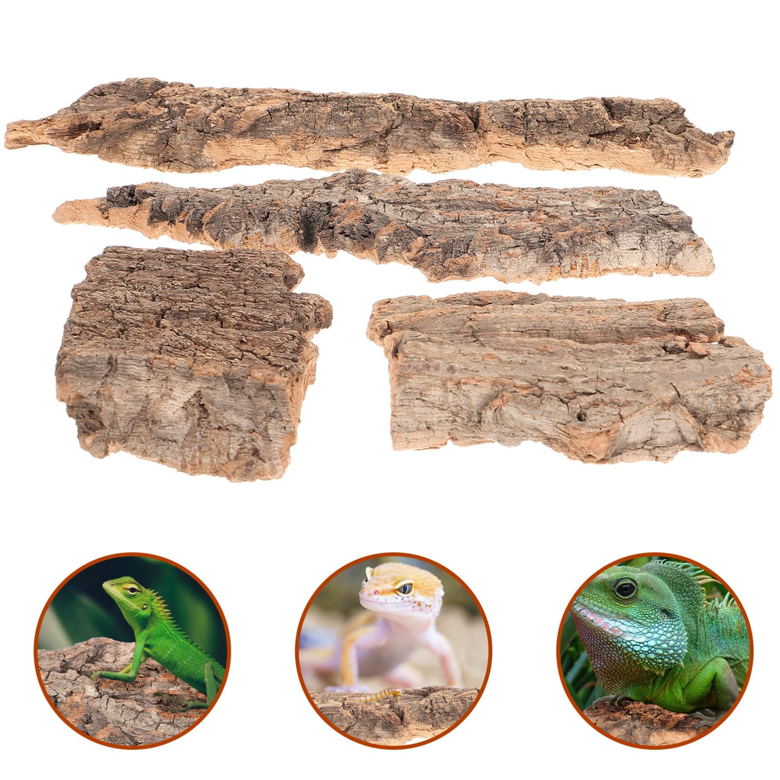 Balacoo Terrarium Tree Bark - 8pcs Natural Cork Bark for Reptile Tank Decoration, Leopard Gecko & Tarantula Enclosure Background - Perfect for Reptile Habitats, Vivarium Decor & Terrarium Landscaping