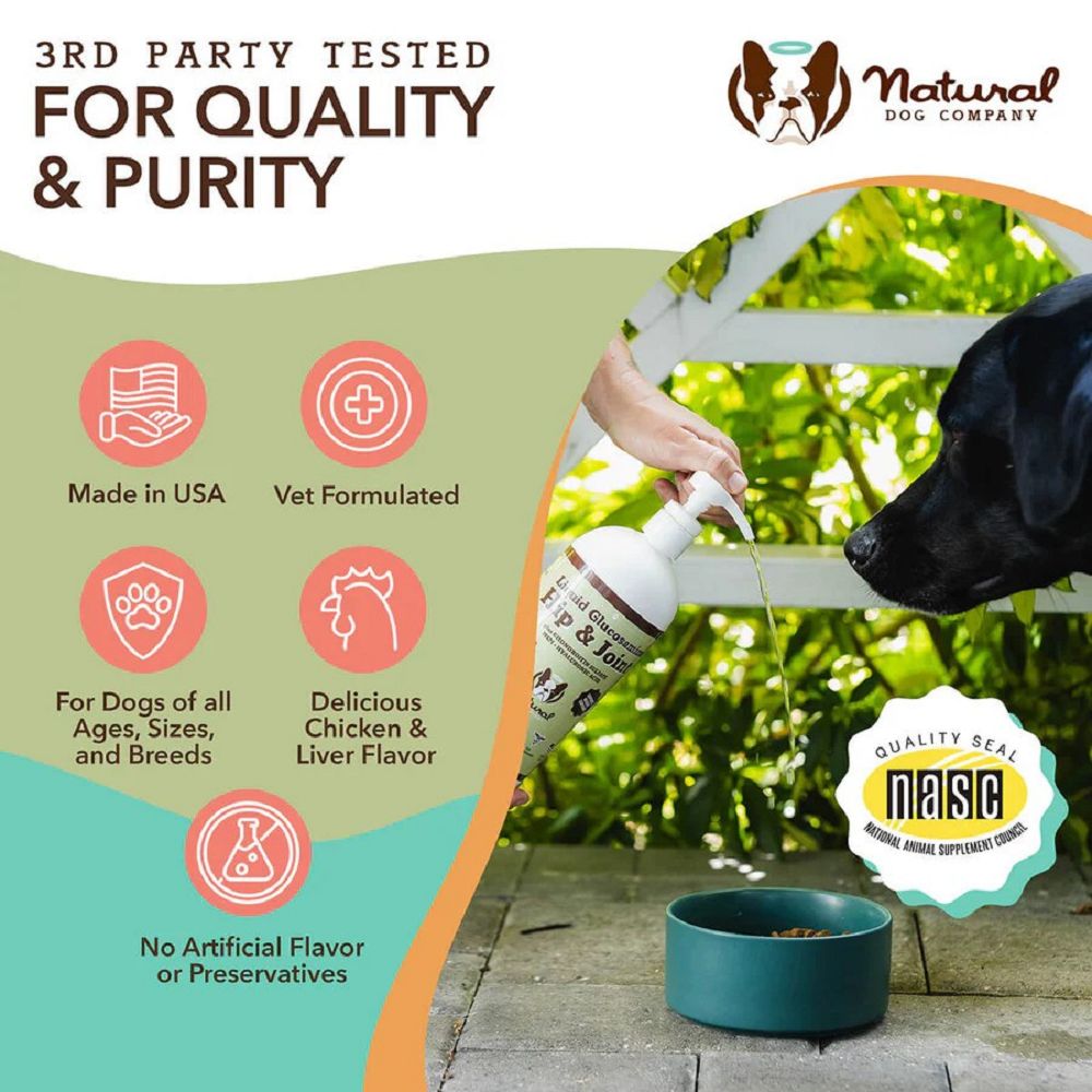 Liquid Glucosamine Supplement for Dogs - Hip & Joint Support Oil - Promotes Mobility & Comfort for Active & Senior Dogs - Perfect for Daily Use & Post-Exercise Recovery