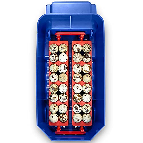 Premier 1 Supplies Borotto Lumia 8 Automatic Egg Incubator with Humidity Pump - Perfect for Poultry Farming, Hatching Chicken Duck Quail Eggs at Home or Farm