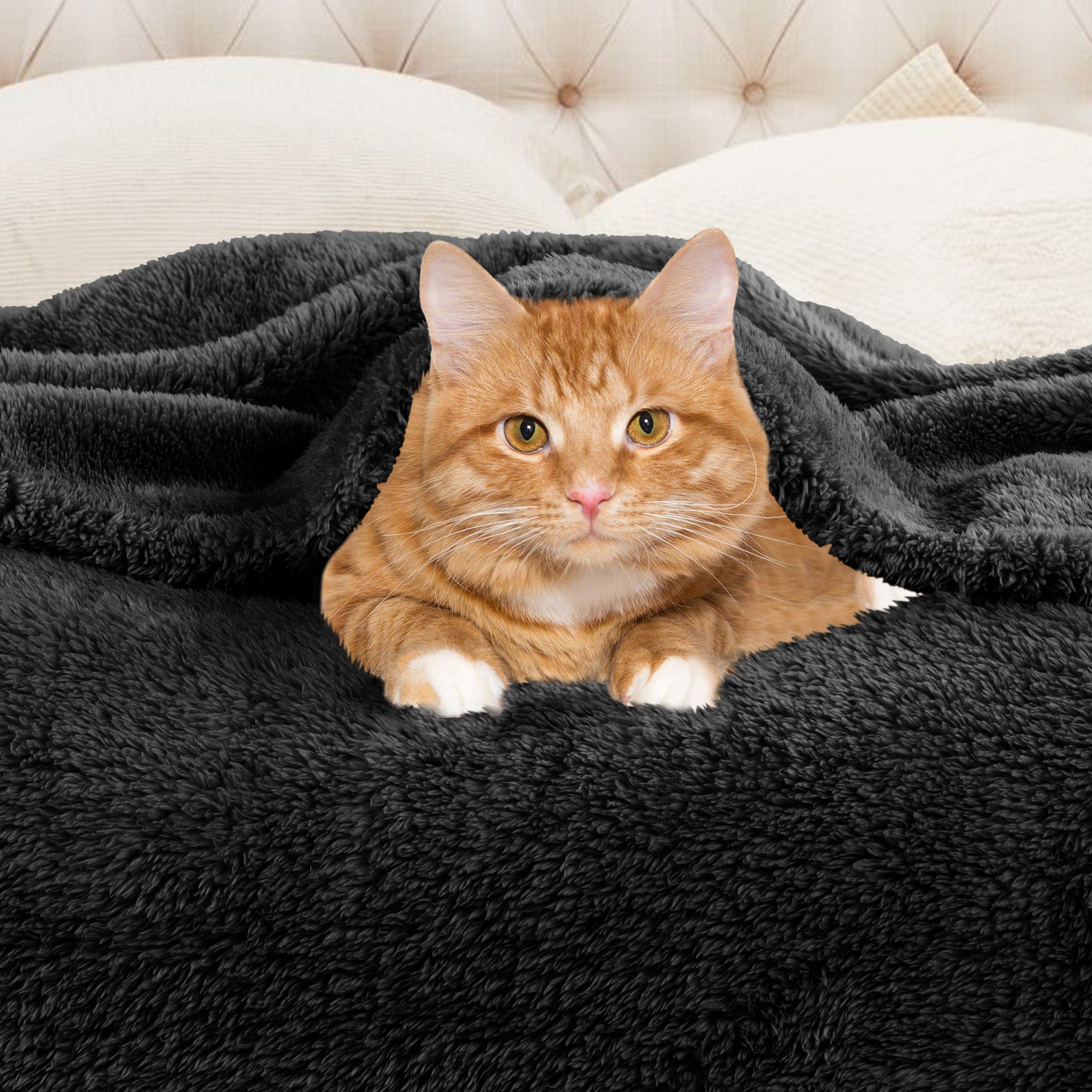 Classic Solid Fleece Plush Medium Weight Fluffy Soft Blanket - Cozy & Warm for Bed, Sofa, Travel & Gifts | Ultra-Soft Throw Blanket for All Seasons