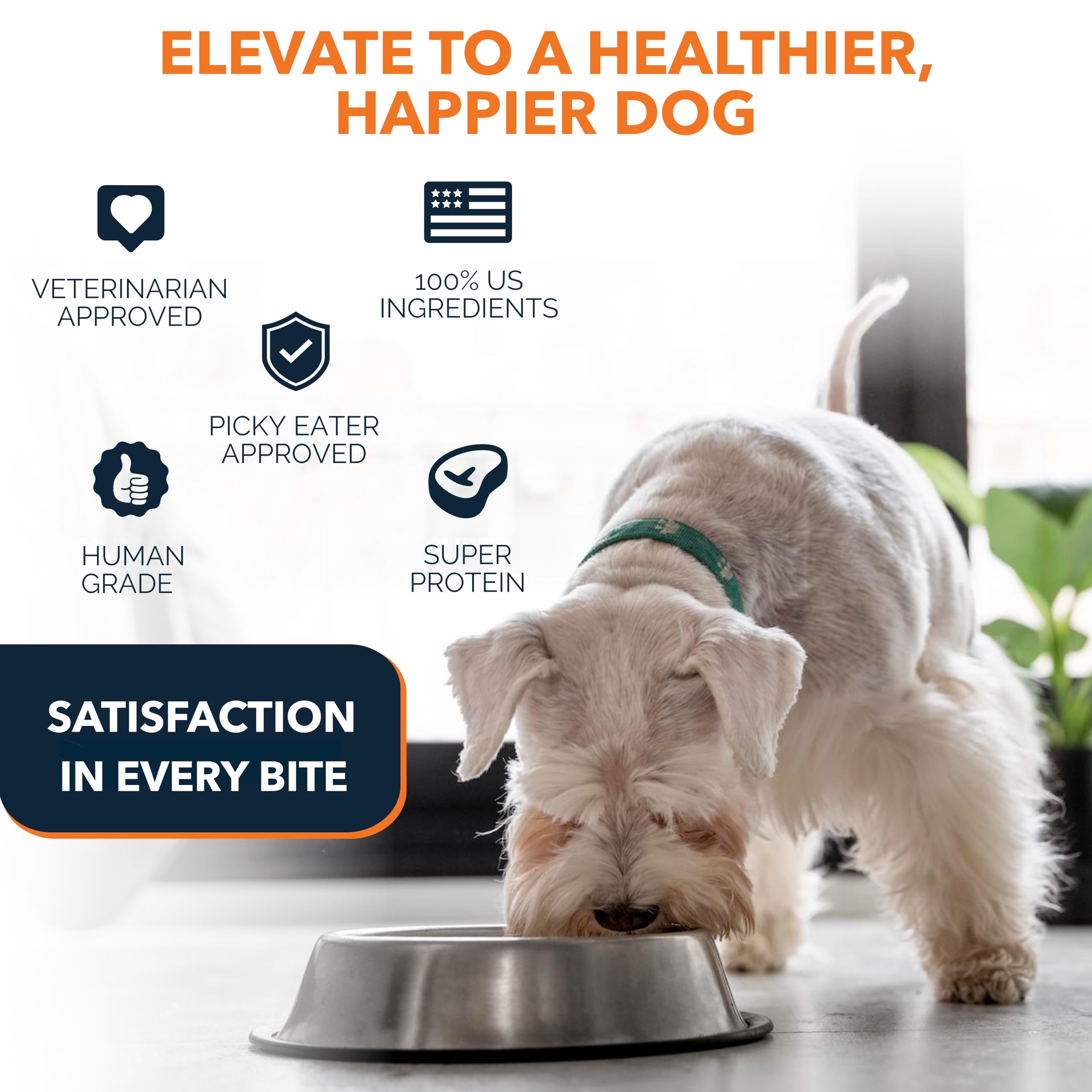 Premium Sensitive Stomach Dog Food - 100% Human-Grade Air-Dried Beef Recipe | Limited Ingredient, All-Natural Dog Food Made with USA Grass-Fed Beef | Dehydrated Complete Meal or Food Topper for Dogs with Digestive Issues (3.65lb) - Perfect for Picky Eaters & Dogs with Food Allergies