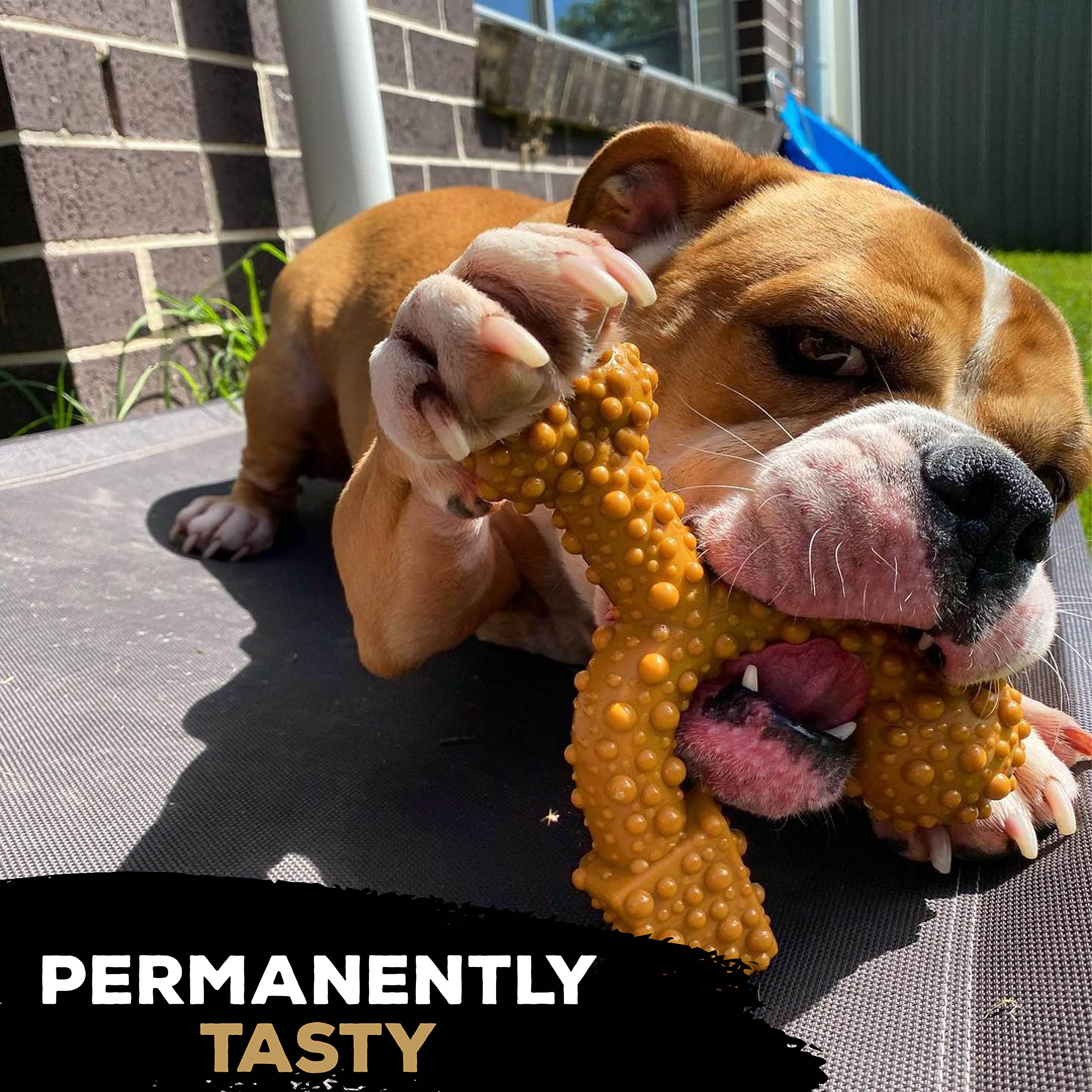 TrioBone Extra Tough Nylon Dog Chew Toy for Large Breeds - Peanut Butter Flavor, Long-Lasting Dental Chew to Promote Healthy Teeth & Gums - Triple Knot Design for Extended Playtime - Made in UK with 100% Virgin Nylon - Perfect for Aggressive Chewers, Teething Puppies & Boredom Relief