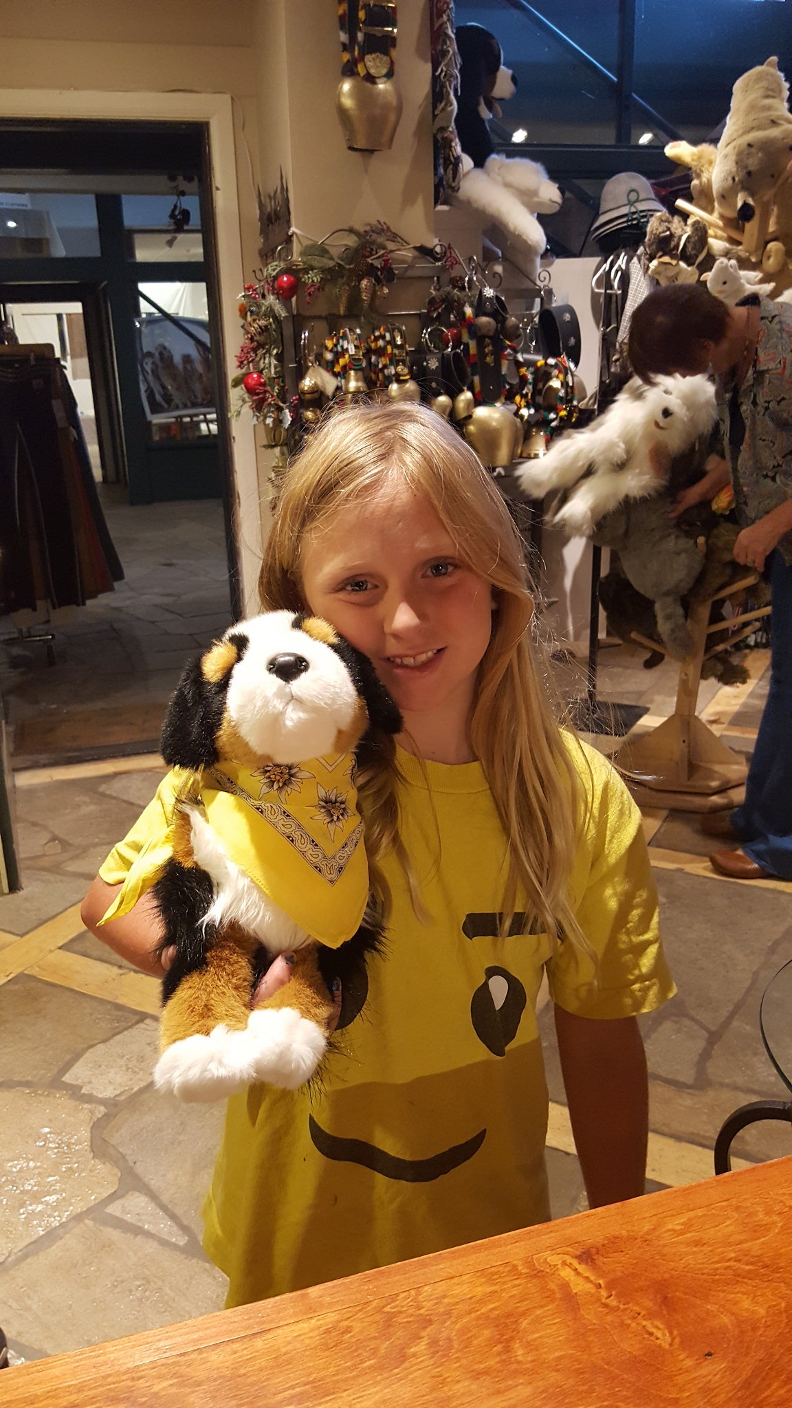 Premium Plush Bernese Mountain Dog Stuffed Animal - Signature Alpen Schatz Collection | Soft Cuddly Toy for Kids, Home Decor & Gift Idea