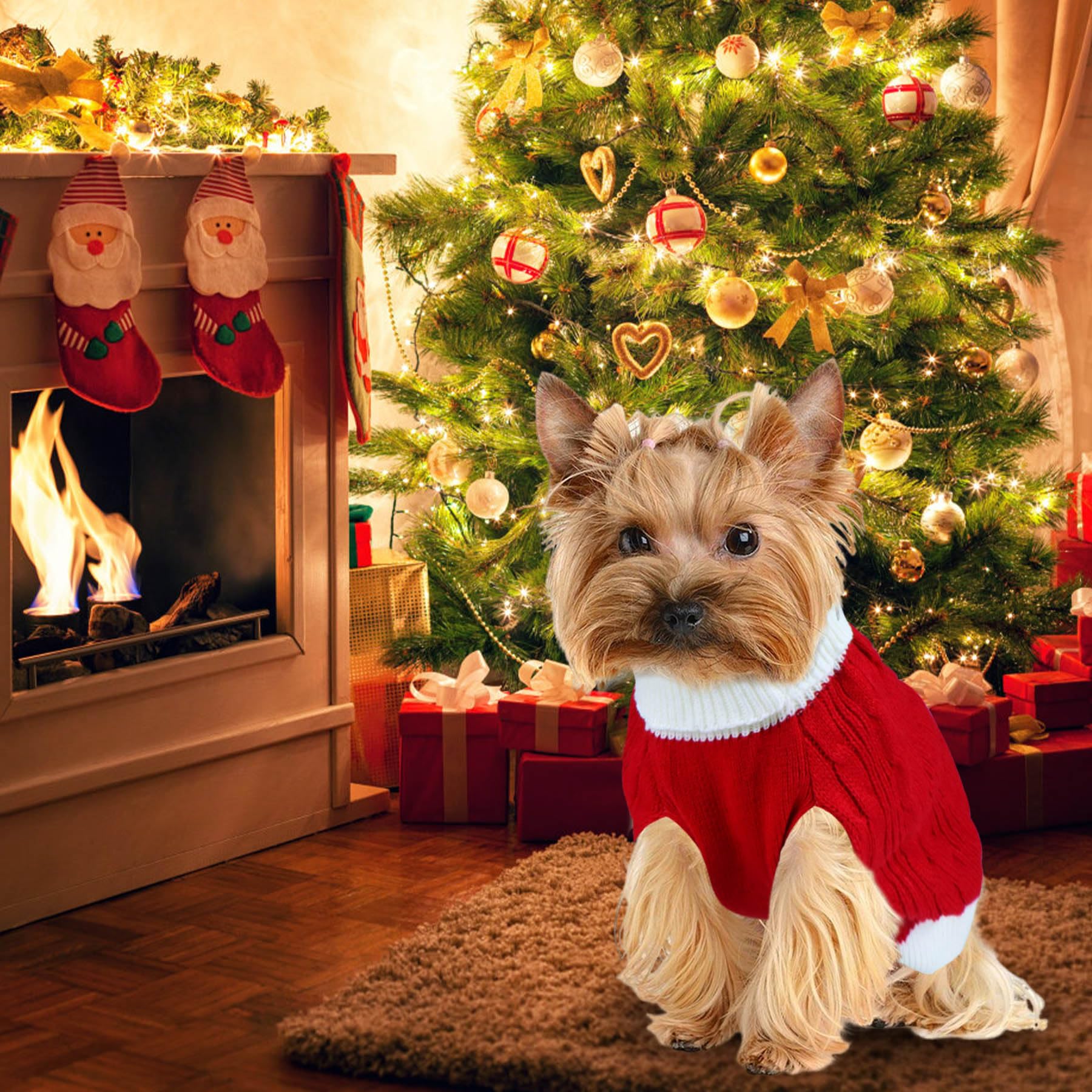 Christmas Dog Sweater - Knitted Turtleneck Winter Dog Clothes for Small, Medium & Large Dogs | Warm Holiday Pet Outfit in Red | Perfect for Christmas Photos & Winter Walks