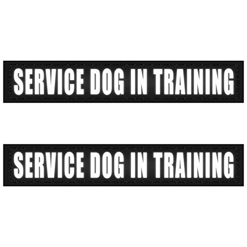 Service Dog In Training (2 Pack Black)
