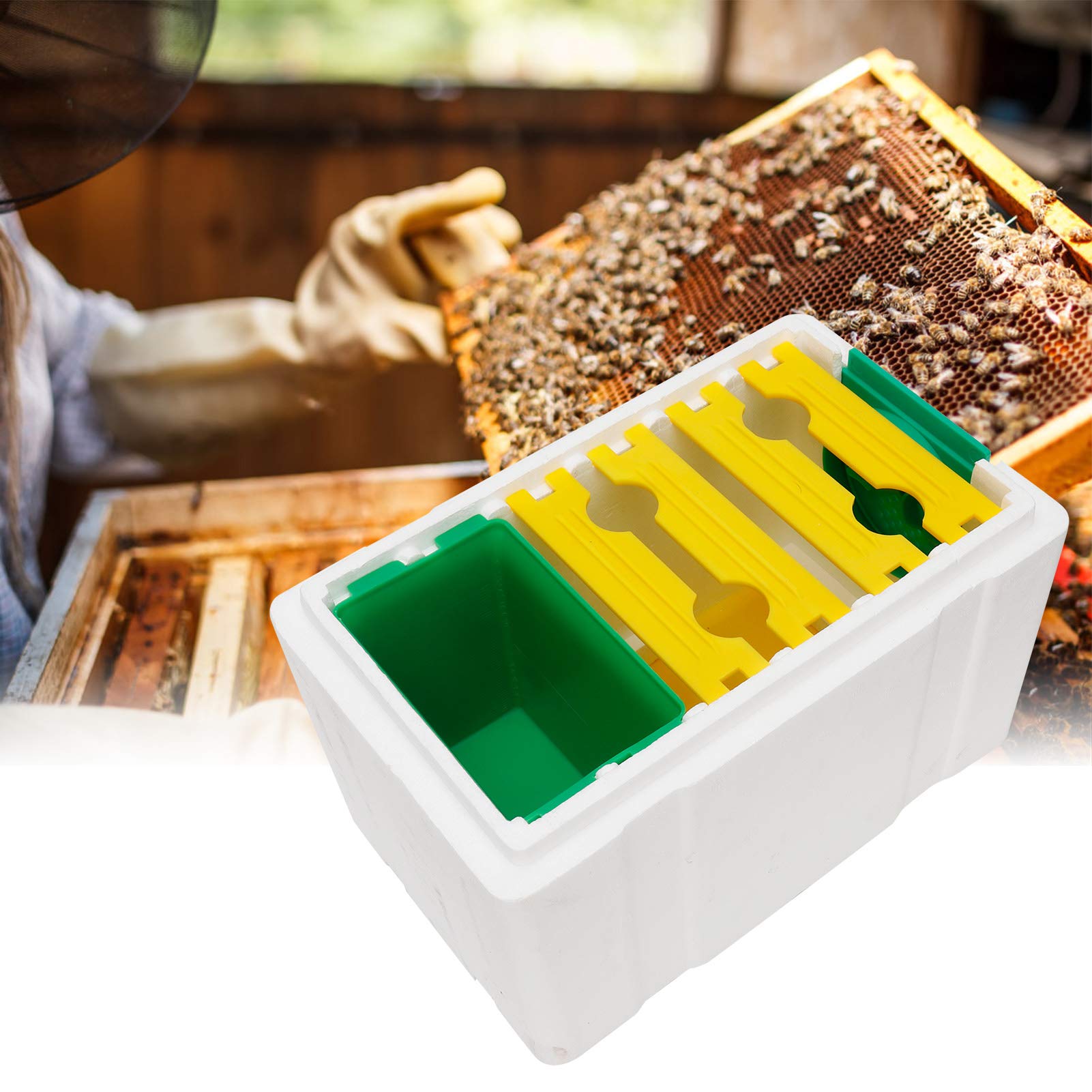 Yosoo Queen Bee Mating Box - Beekeeping Equipment with Foam Frames for Bee Pollination | Professional Hive Tool for Beekeepers | Perfect for Apiary Management & Honey Production