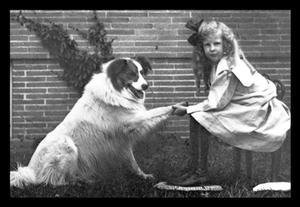 Girl Shaking Hands with Dog - Heartwarming Animal Friendship Wall Art - Premium Canvas Print 20x30 inches - Perfect for Living Room, Bedroom & Pet Lover Gifts