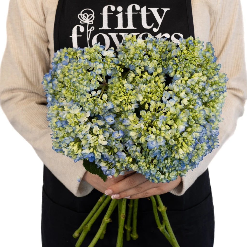 Bicolor Ivory with Hint of Blue Hydrangea Artificial Flower - Elegant Home Decor for Weddings, Parties & Floral Arrangements