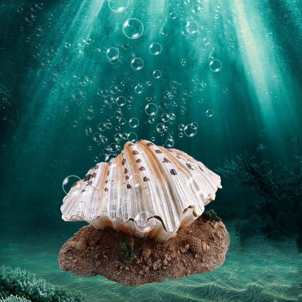Natural Aquarium Shell Bubble Decor - Coral Reef Ornament for Fish Tank with Aerating Action | Perfect for Saltwater & Freshwater Tanks, Betta Fish Habitat, and Underwater Theme Decorations