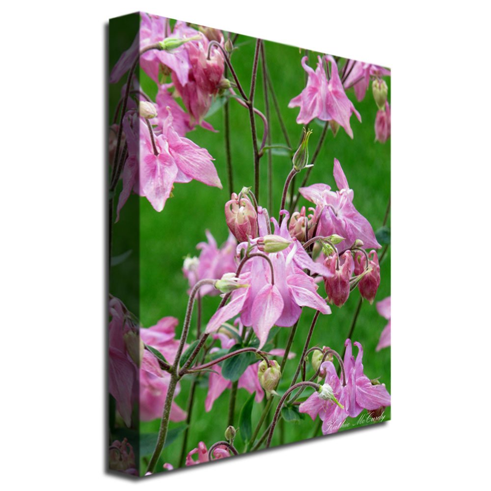 Trademark Art Kathie McCurdy Pink Columbine Canvas Wall Art Print - Floral Home Decor for Living Room, Bedroom & Office