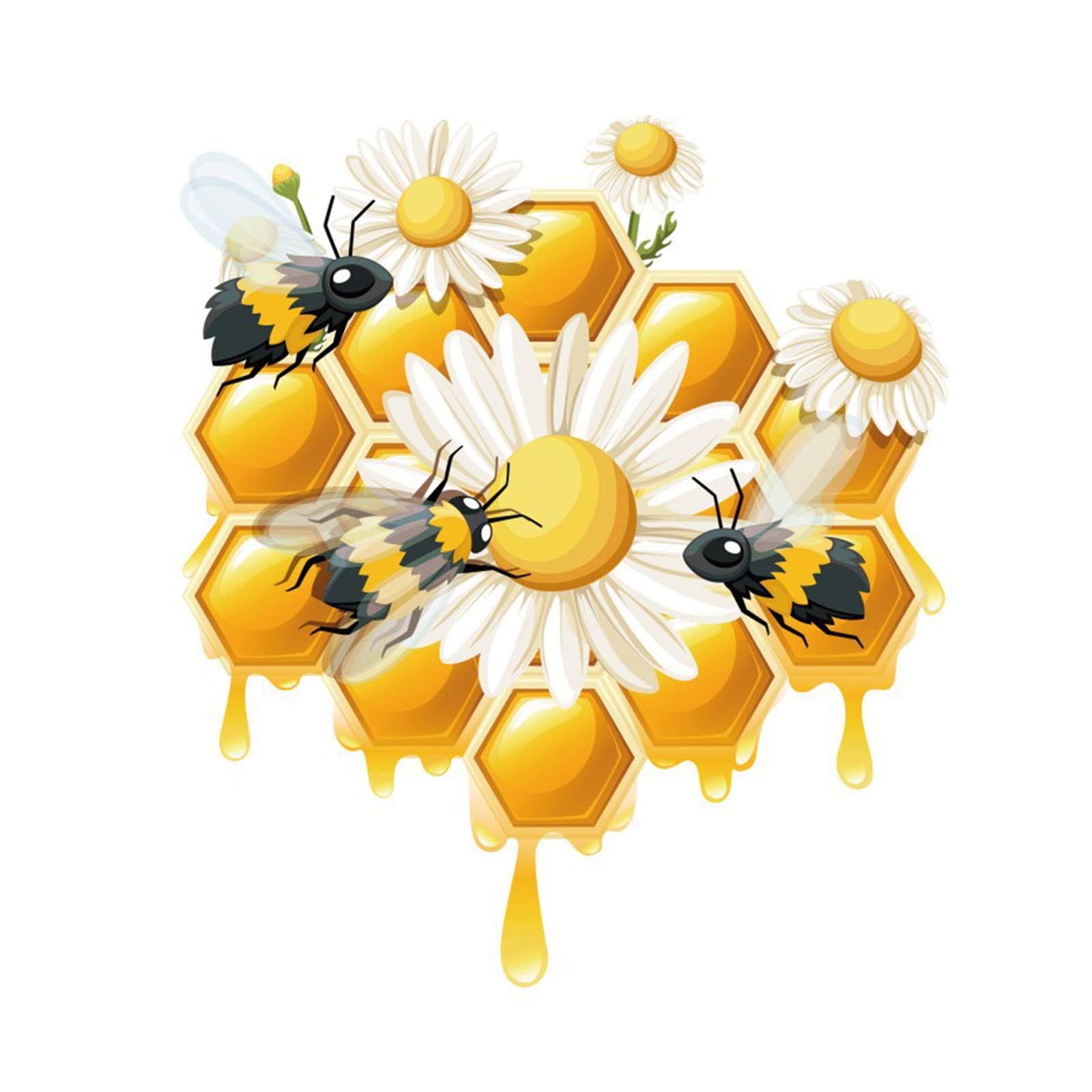 Adorable Bee PVC Wall Stickers for Kids Room Decor - Waterproof Animal Wall Decals, Window Stickers (Set of 27) - Perfect for Nursery, Playroom & Classroom Decorations