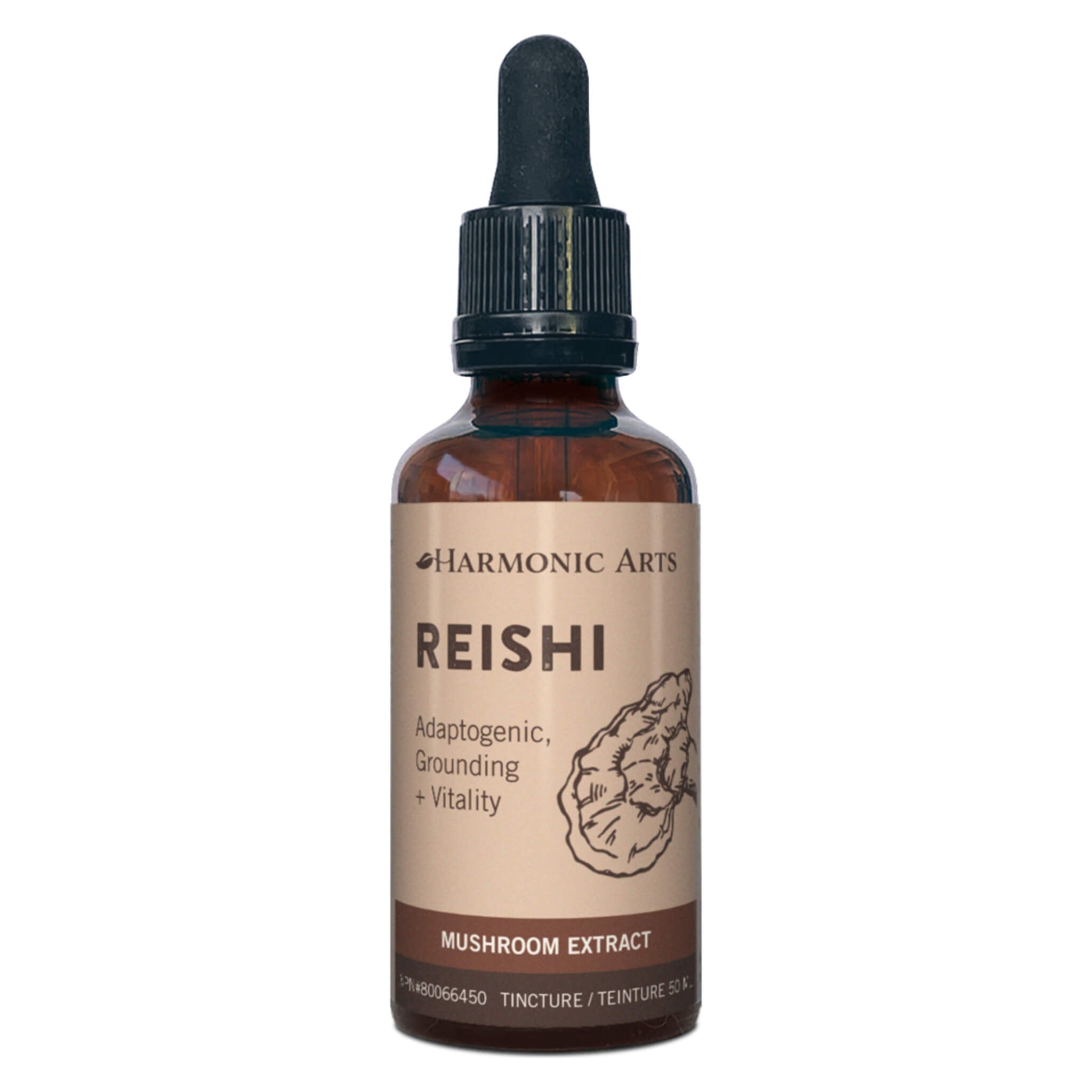 Organic Reishi Mushroom Extract Tincture - 100% Pure & Natural Immune Support Supplement for Stress Relief & Better Sleep - Perfect for Daily Wellness & Meditation Rituals