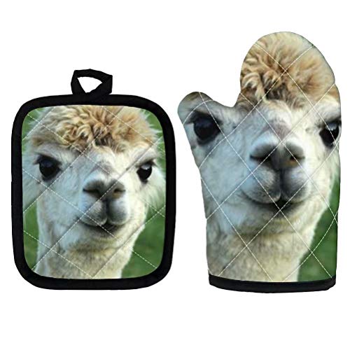 Alpaca 2