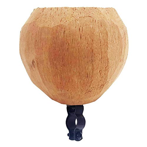Natural Coconut
