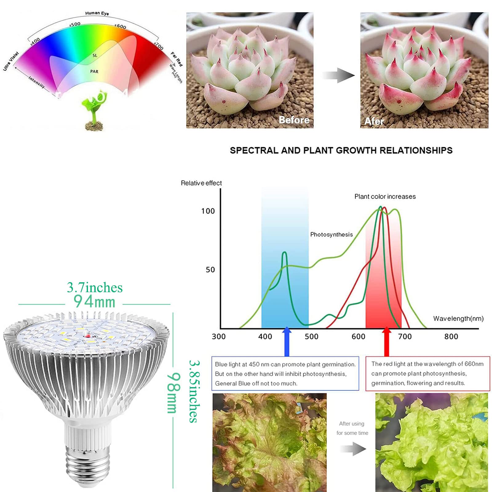 50W Full Spectrum LED Grow Light Bulb for Indoor Plants, Vegetables & Seedlings - Hydroponics, Greenhouse, Organic Soil Gardening - E27 Base 78 LED Plant Light (2 Pack) - Perfect for Indoor Herb Gardens, Hydroponic Systems & Home Greenhouses