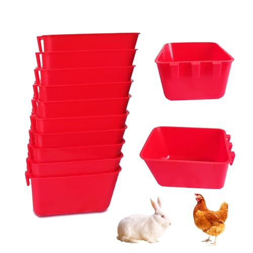 Red Square 10 packs 16oz