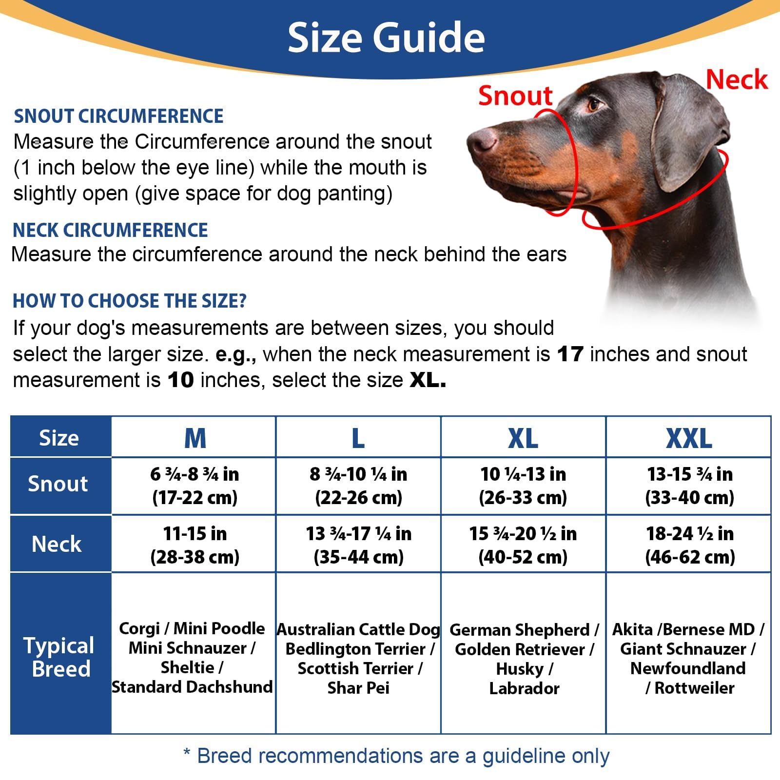 BARKLESS No Pull Dog Head Collar - Adjustable Head Halter for Large, Medium & Small Dogs | Stops Heavy Pulling During Walks & Training | Padded Safety Strap & Muzzle Leash (Black, Size M) | Perfect for Obedience Training, Daily Walks & Aggressive Pullers