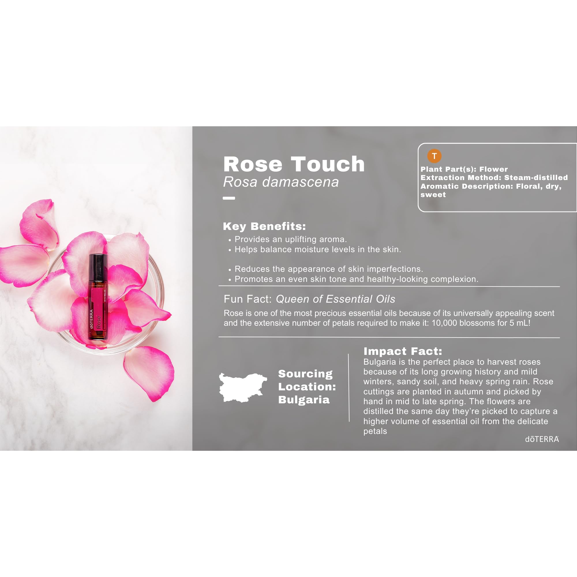 doTERRA Rose Touch Essential Oil Roll On - 10 mL, 100% Pure & Natural for Aromatherapy, Relaxation & Skin Care - Perfect for Massage, Diffuser & DIY Beauty Products
