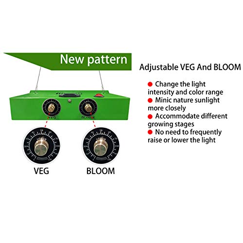 Best Greenhouse Vegetable & Flower Growing Kits - Durable Plant Protection for Tomatoes, Peppers & Herbs - Ideal for Home Gardeners & Indoor Planting