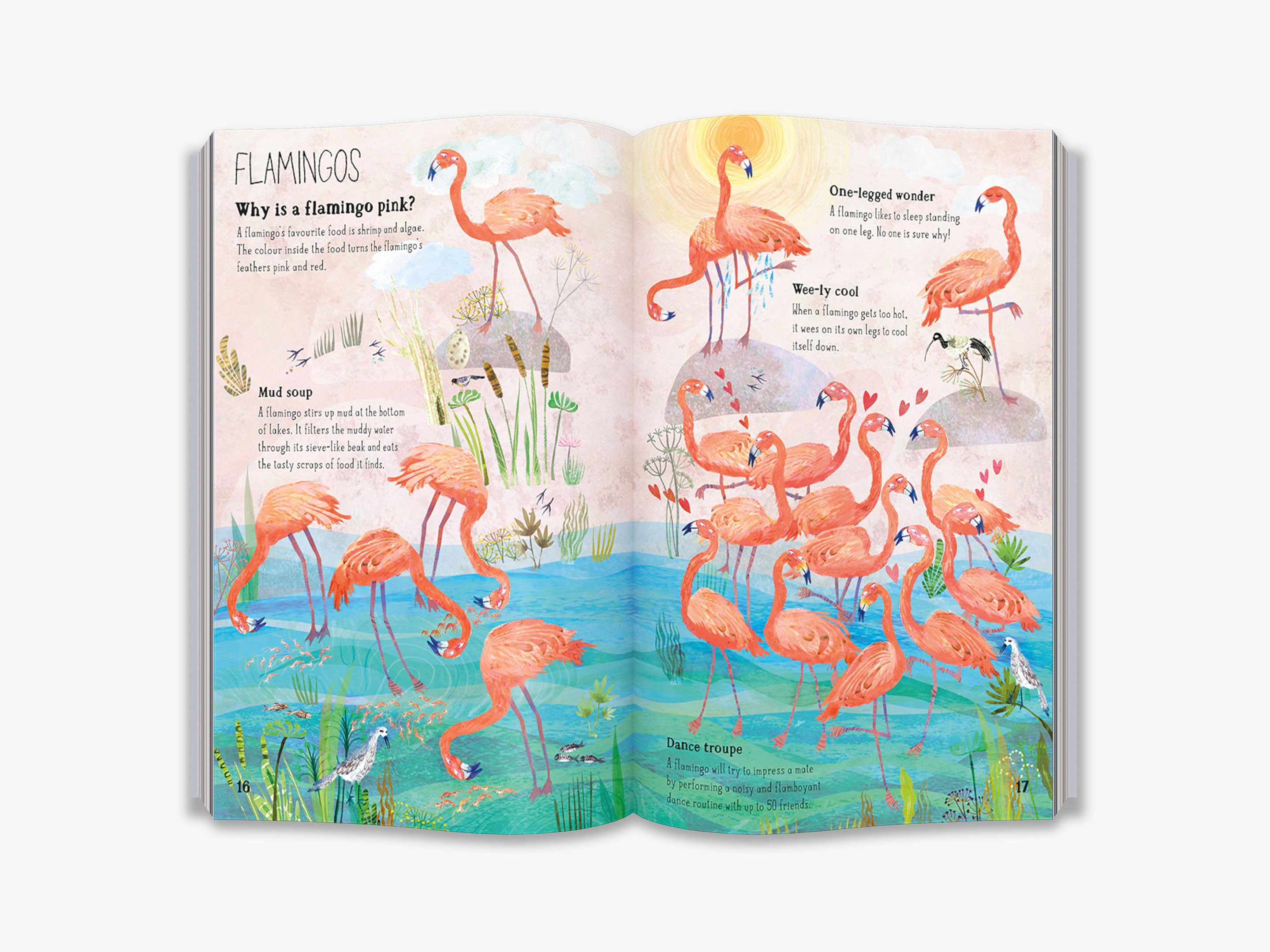 The Big Book of Birds - Illustrated Educational Guide for Kids & Adults | Perfect for Homeschooling, Nature Study & Birdwatching Enthusiasts