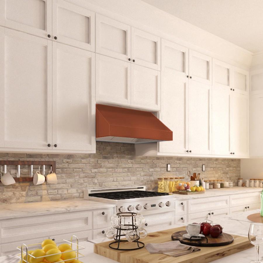ZLINE 8685C Designer Series Under Cabinet Range Hood - 30 Inch Stainless Steel Kitchen Vent Hood with Powerful CFM for Smoke & Odor Removal - Perfect for Modern Home Kitchens & Open Concept Living Spaces