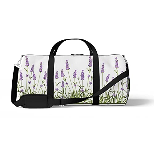 Lavender Frame Line