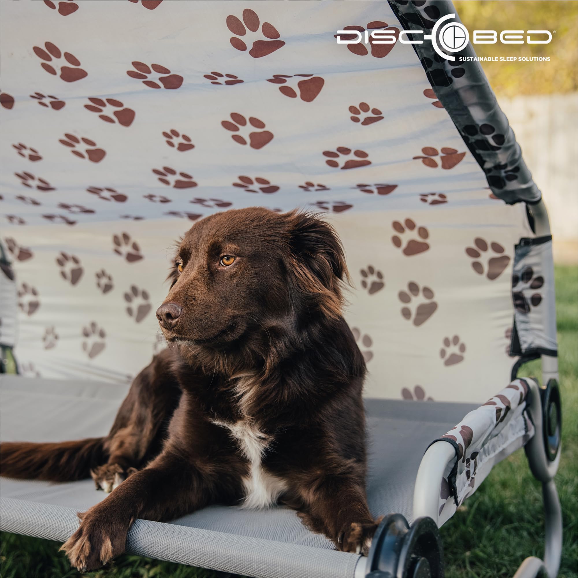 Premium Disc-O-Bed Orthopedic Dog Bed for Large & Medium Dogs - Waterproof & Chew-Resistant - Perfect for Crates, Travel & Home Use